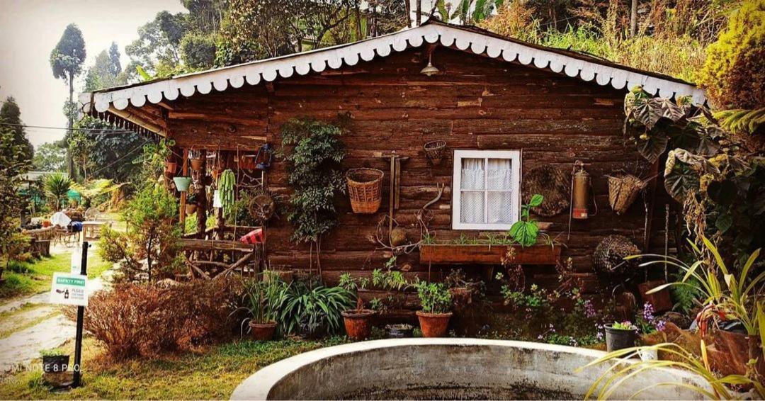 Suma Aavaas Farmstay 大吉岭 外观 照片