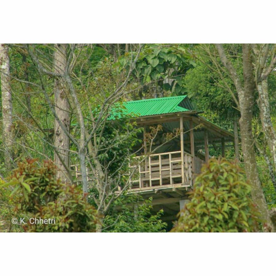 Suma Aavaas Farmstay 大吉岭 外观 照片