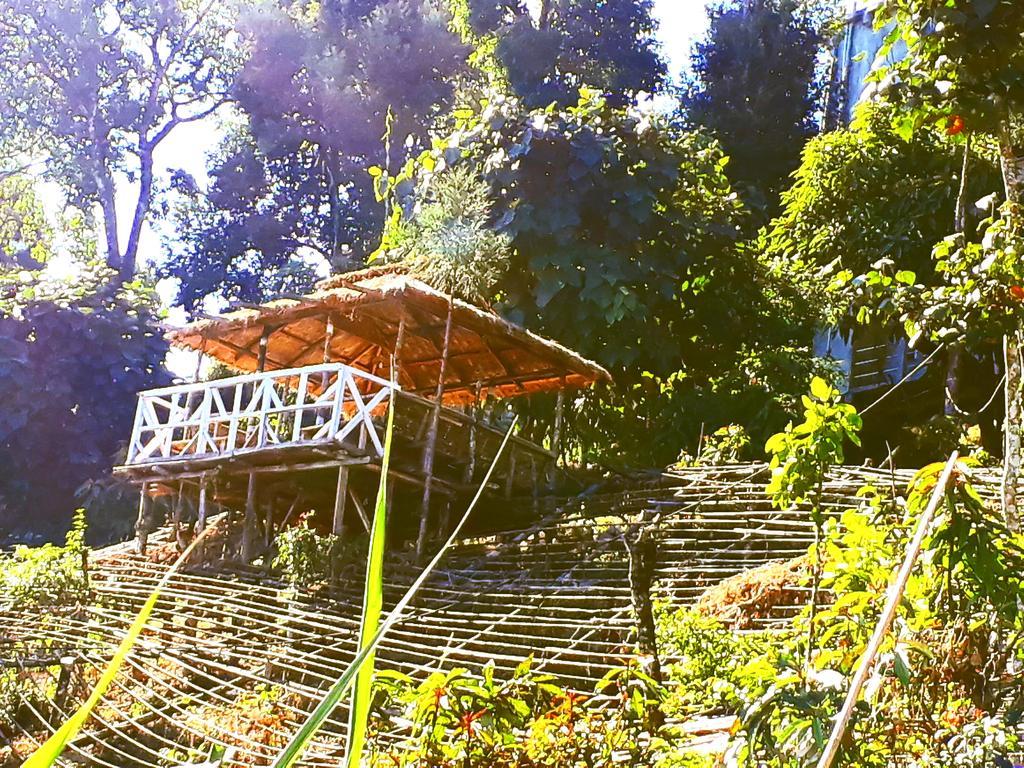 Suma Aavaas Farmstay 大吉岭 外观 照片